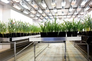 Custom Plant Growth Chambers-Image