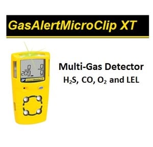 Multi-gas made easy: from BW Technologies-Image