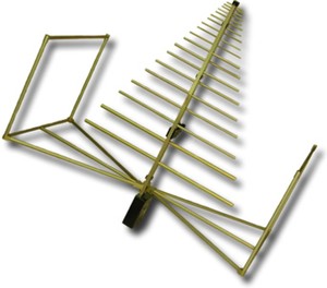 Bilogical Antennas-Image