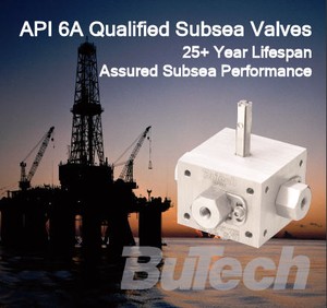 Subsea Valves Meet API 6A Standards-Image