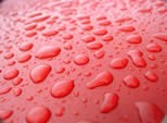 Accelerated UV Testing for Paints and Coatings-Image