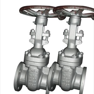 Gate Valve, WCB, 3 Inch, RF LD 14 FGV 03-Image
