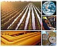 White Paper Sustainable Manufacturing/Production -Image