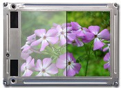 Film Laminations with Optical Films-Image