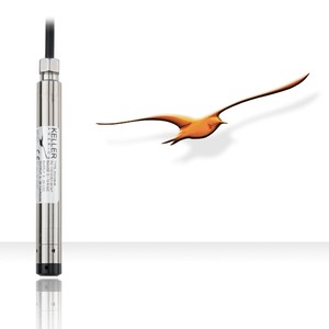 Micro-Bore Submersible Level Transmitter-Image