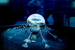 Festo Celebrates 40 Years of Advancing Automation-Image