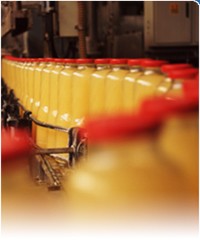 ERP Software for Plastics & Rubber Manufacturers-Image
