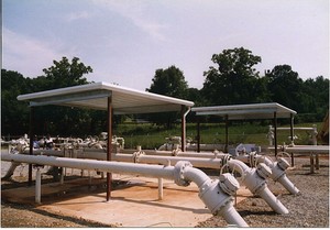 Canopies-Image