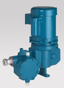 Neptune Series 500 Metering Pump -Image