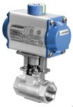 Eliminator Ball Valve-Image