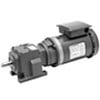 TIGEAR-2 or QUANTIS Gearmotors-Image