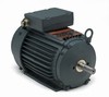 841XL Premium Efficient AC Motors-Image