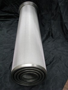 The Poroplate MaxPore™* Extended Area Filter-Image