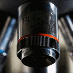 Chemical Analysis Services-Image