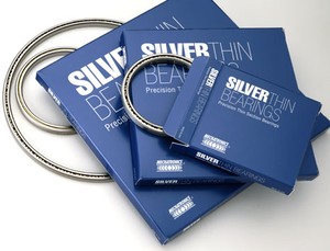 Silver Thin Bearings-Image