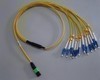 G-Tech MTP or MPO multifibre patchcord-Image