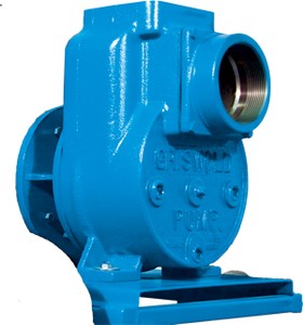 Griswold™ Pumps For Water Applications-Image