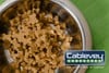 Pet Food Industry Trends for 2023-Image