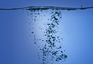 Flexible and Moisture Resistant Elastomers-Image