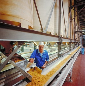 Food Processing Hoists, Cranes, Winches-Image