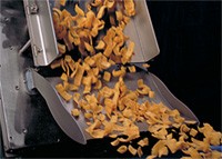 Solids Mass Flow Meter: Food Industry-Image
