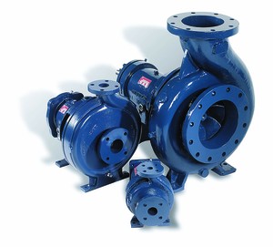 Griswold™ 811 Series ANSI Pumps For Oil-and-Gas-Image