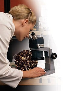 PARTICLE CHARACTERIZATION & ANALYTICAL SERVICES-Image