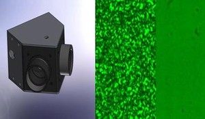 SPECKLEFREE™ ILLUMINATE AST-ILM-1-3 -Image