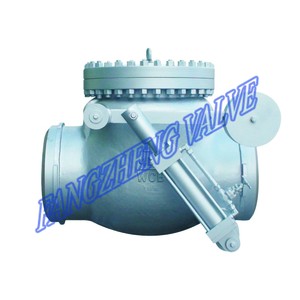 Damping Device Swing Check Valve-Image