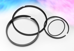 Thermoplastic & Thermoset Piston and Sealing Rings-Image