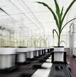 Controlled Environment High Precision Phenotyping-Image