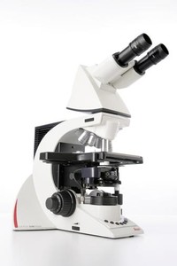 Light Microscopes-Image