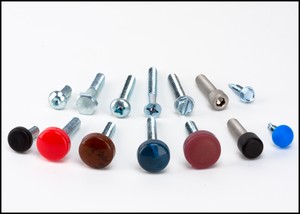 Screw Covers-Image