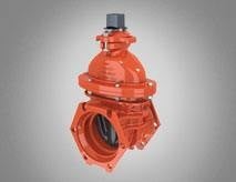 350 psi Resilient Wedge Gate Valves-Image