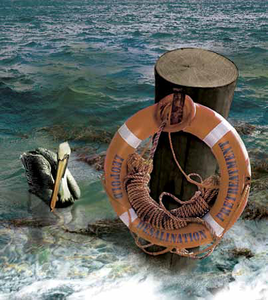 Reliable Protection from Seawater Contaminants-Image