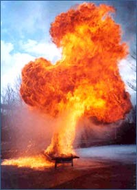 Intumescent Fire Retardant Coatings Firex™ -Image