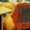 Custom Vibration Isolators and Machine Mounts-Image
