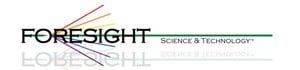 Foresight Science & Technology -Image