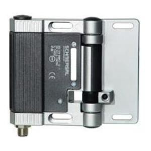 Adjustable Switching Point Hinged Interlock Switch-Image