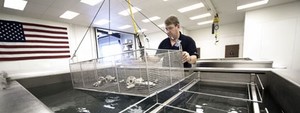 Cleaning Critical Systems & Components-Image