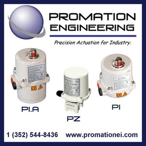 NEMA 4X Electric Actuators-Image