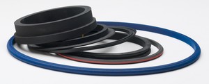 Custom Radial Seals-Image
