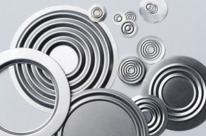 Hudson's Flat & Corrugated Metal Diaphragms; ISO-Image