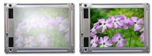GenFlective™ Display Enhancement-Image