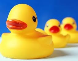Need Phthalates? Contact Chem Service, Inc. -Image