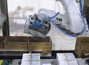 Robotic Case Packing-Image