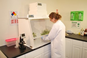 Tissue Culture Hood- Portable Clean Room Hood-Image