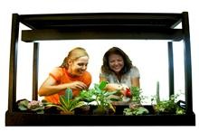 Plant Greenhouse Kit: Photosynthesis & Biology-Image