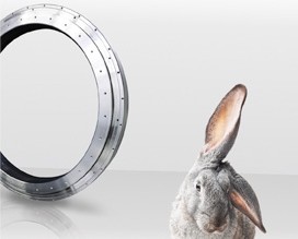 Customized Special Bearings with Direct Drive-Image