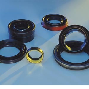 Custom Dynamic Seals-Image
